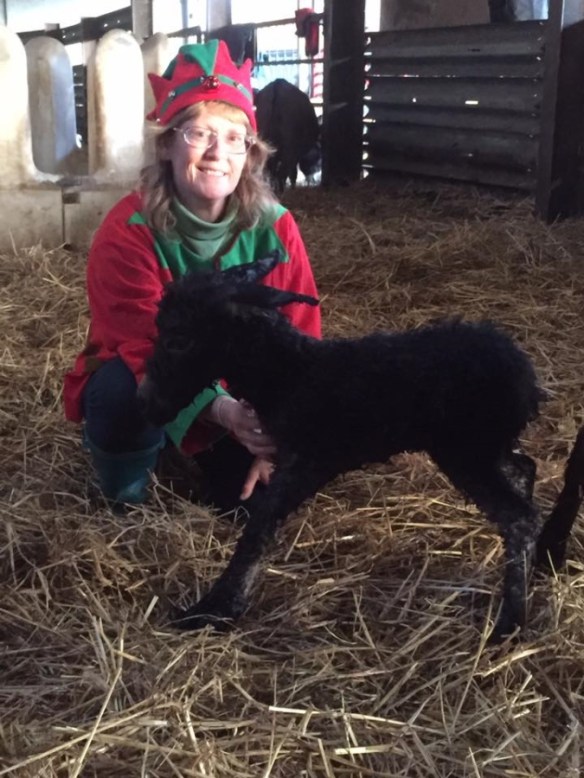 Optimized-Tinsel born to mum Star. nov 17