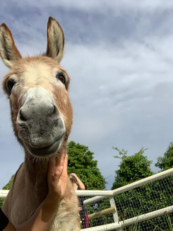 Emmett june 19 new home